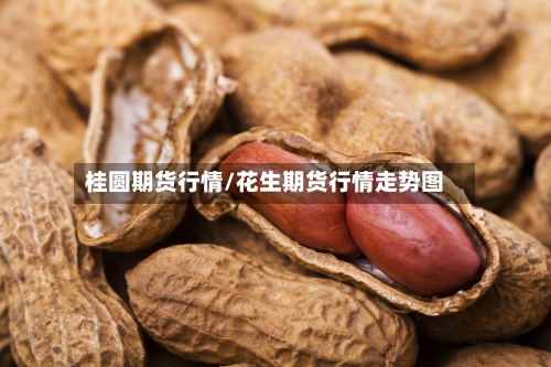 桂圆期货行情/花生期货行情走势图-第3张图片