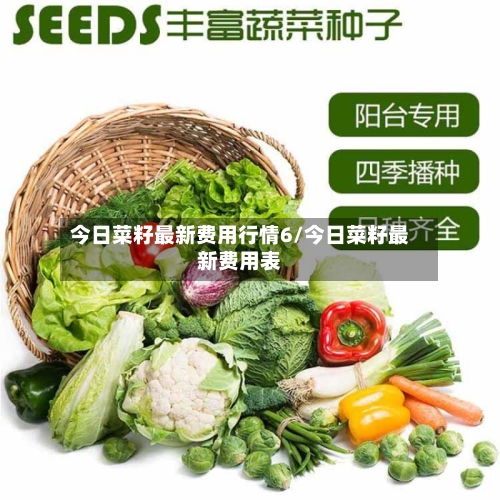 今日菜籽最新费用行情6/今日菜籽最新费用表-第2张图片