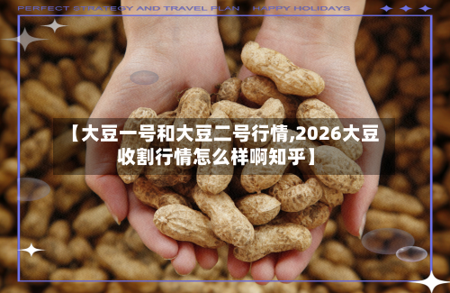 【大豆一号和大豆二号行情,2026大豆收割行情怎么样啊知乎】