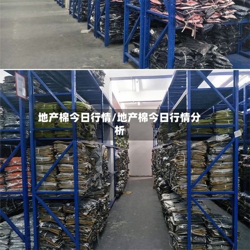 地产棉今日行情/地产棉今日行情分析-第2张图片