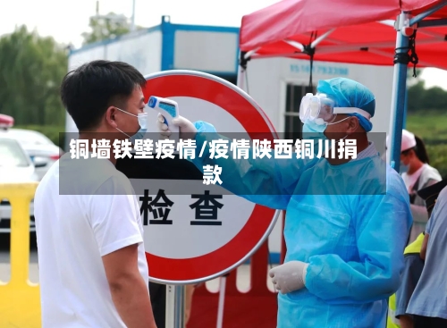 铜墙铁壁疫情/疫情陕西铜川捐款-第2张图片