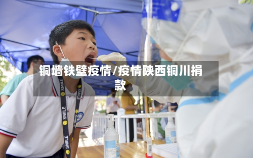 铜墙铁壁疫情/疫情陕西铜川捐款