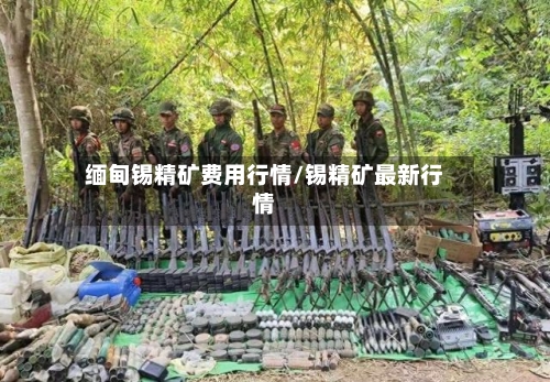缅甸锡精矿费用行情/锡精矿最新行情