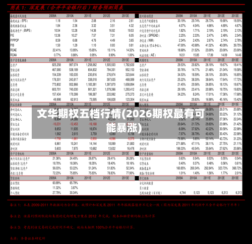 文华期权五档行情(2026期权最有可能暴涨)-第2张图片
