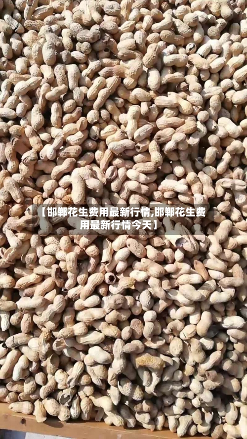 【邯郸花生费用最新行情,邯郸花生费用最新行情今天】-第2张图片