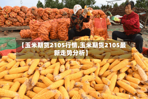 【玉米期货2105行情,玉米期货2105最新走势分析】