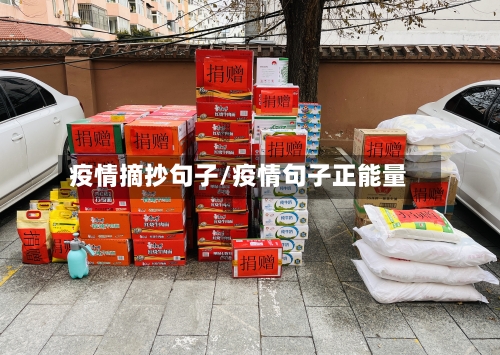 疫情摘抄句子/疫情句子正能量-第2张图片