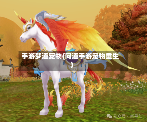 手游梦道宠物(问道手游宠物重生)