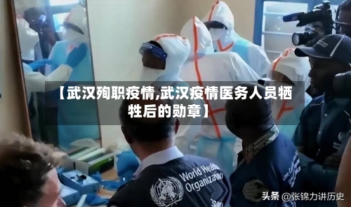【武汉殉职疫情,武汉疫情医务人员牺牲后的勋章】-第2张图片