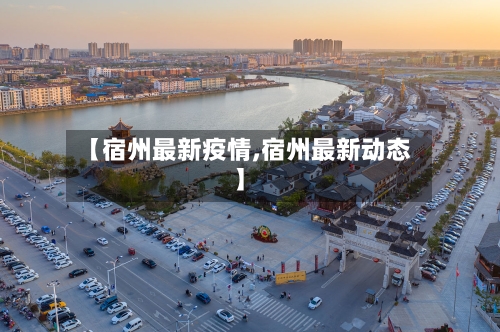 【宿州最新疫情,宿州最新动态】-第3张图片