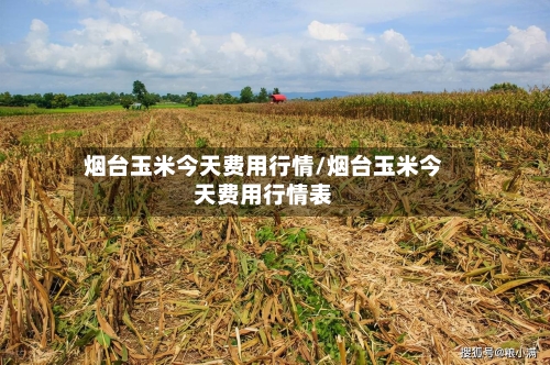 烟台玉米今天费用行情/烟台玉米今天费用行情表-第2张图片