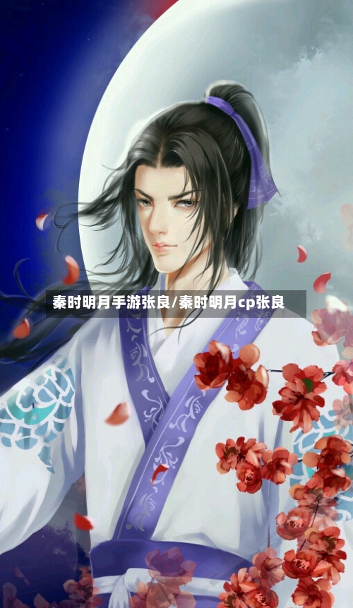 秦时明月手游张良/秦时明月cp张良