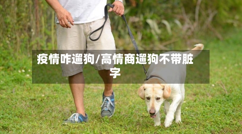 疫情咋遛狗/高情商遛狗不带脏字-第2张图片