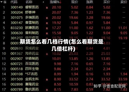 期货怎么看几档行情(怎么看期货是几倍杠杆)