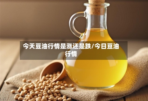 今天豆油行情是涨还是跌/今日豆油行情