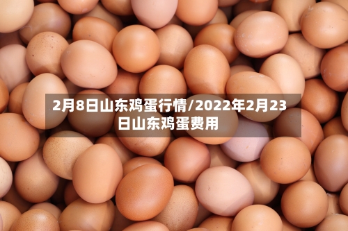 2月8日山东鸡蛋行情/2022年2月23日山东鸡蛋费用