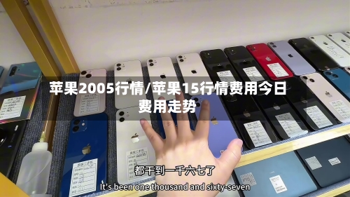 苹果2005行情/苹果15行情费用今日费用走势
