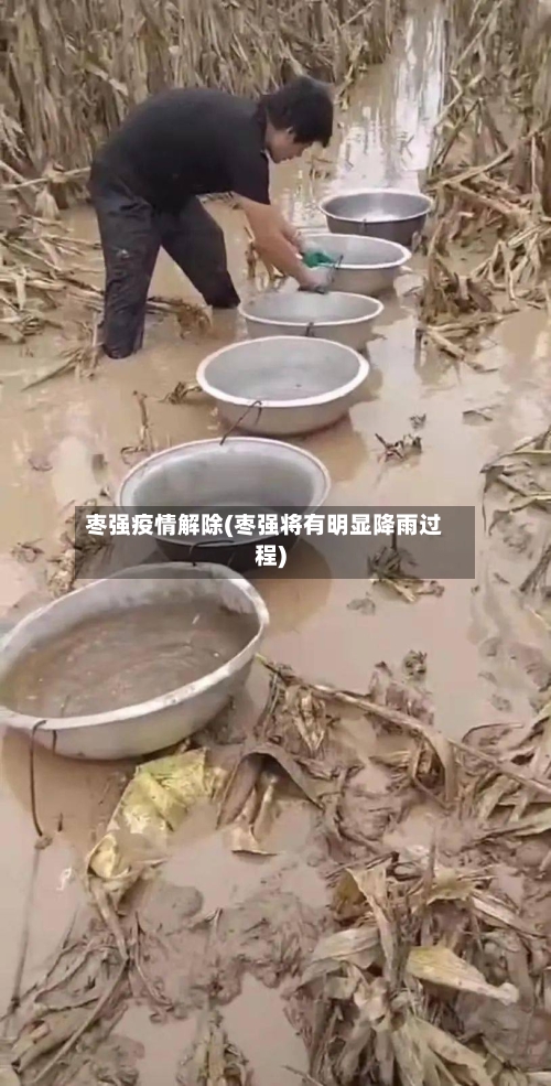 枣强疫情解除(枣强将有明显降雨过程)