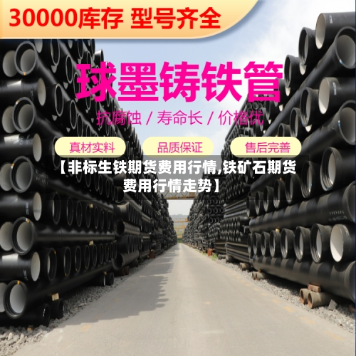 【非标生铁期货费用行情,铁矿石期货费用行情走势】