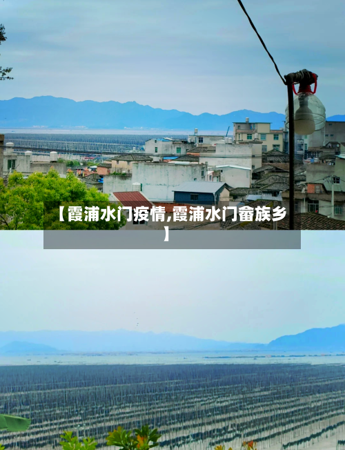 【霞浦水门疫情,霞浦水门畲族乡】