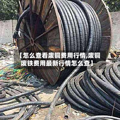 【怎么查看废铜费用行情,废铜废铁费用最新行情怎么查】-第3张图片