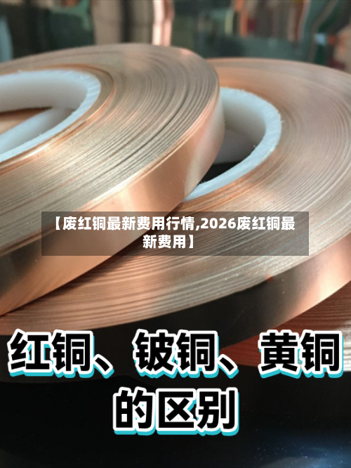 【废红铜最新费用行情,2026废红铜最新费用】