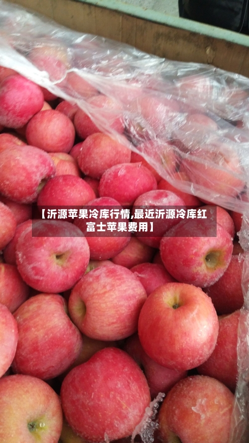 【沂源苹果冷库行情,最近沂源冷库红富士苹果费用】