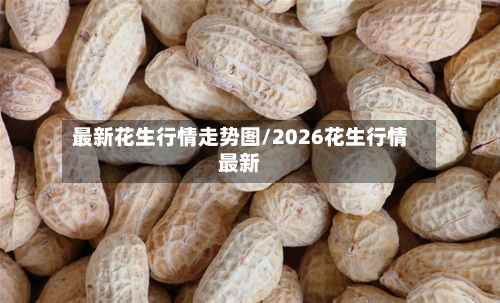 最新花生行情走势图/2026花生行情最新