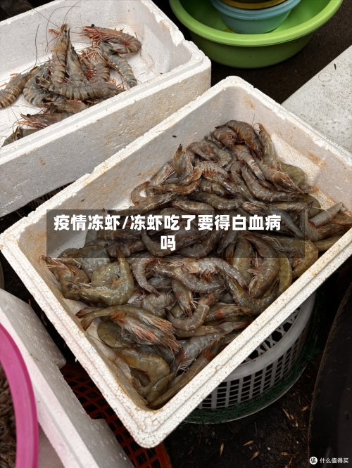 疫情冻虾/冻虾吃了要得白血病吗-第3张图片