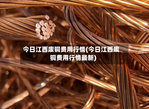 今日江西废铜费用行情(今日江西废铜费用行情最新)-第3张图片