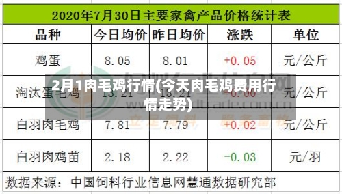 2月1肉毛鸡行情(今天肉毛鸡费用行情走势)-第2张图片