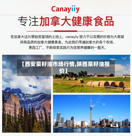 【西安菜籽油市场行情,陕西菜籽油报价】