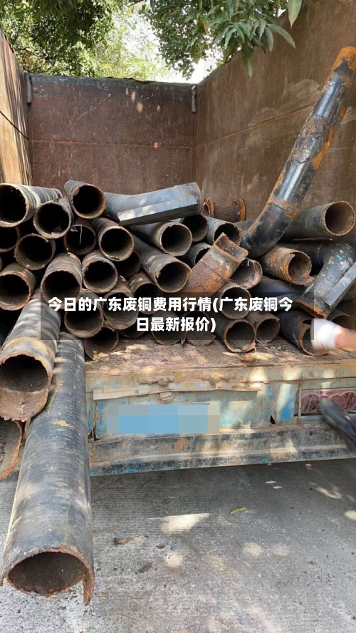 今日的广东废铜费用行情(广东废铜今日最新报价)-第2张图片
