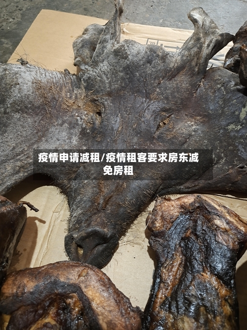 疫情申请减租/疫情租客要求房东减免房租-第2张图片