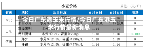 今日广东港玉米行情/今日广东港玉米行情最新消息
