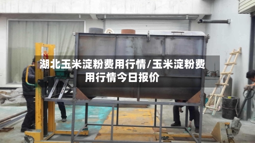 湖北玉米淀粉费用行情/玉米淀粉费用行情今日报价-第2张图片