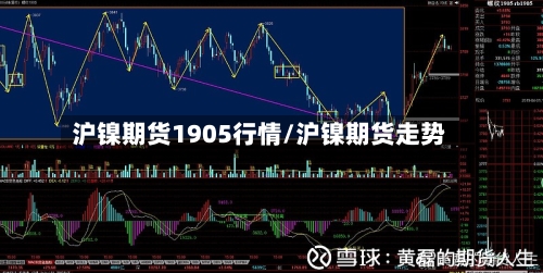 沪镍期货1905行情/沪镍期货走势