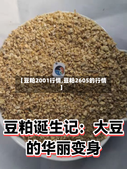 【豆粕2001行情,豆粕2605的行情】