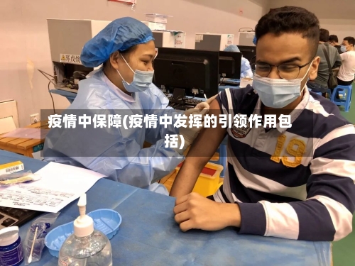 疫情中保障(疫情中发挥的引领作用包括)