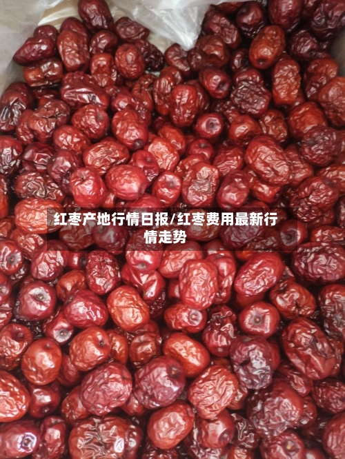 红枣产地行情日报/红枣费用最新行情走势