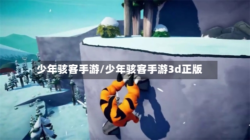 少年骇客手游/少年骇客手游3d正版