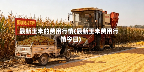 最新玉米的费用行情(最新玉米费用行情今日)