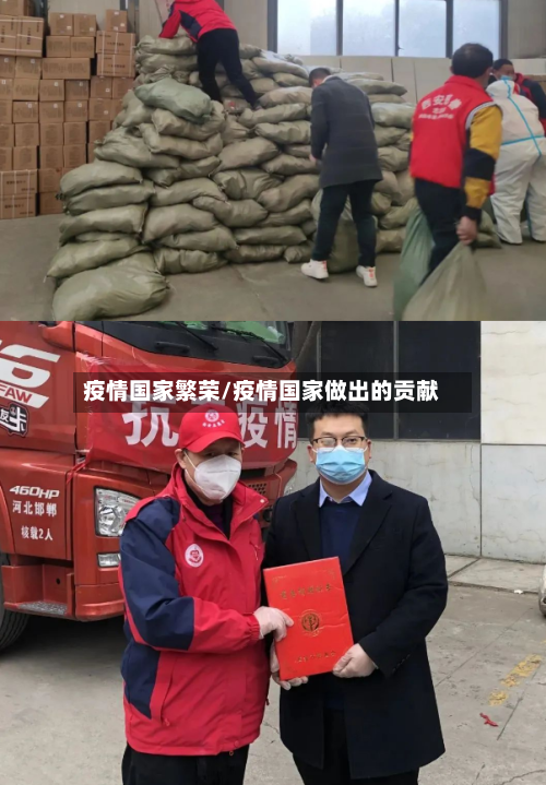 疫情国家繁荣/疫情国家做出的贡献-第3张图片