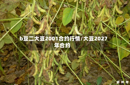 b豆二大豆2001合约行情/大豆2027年合约-第2张图片