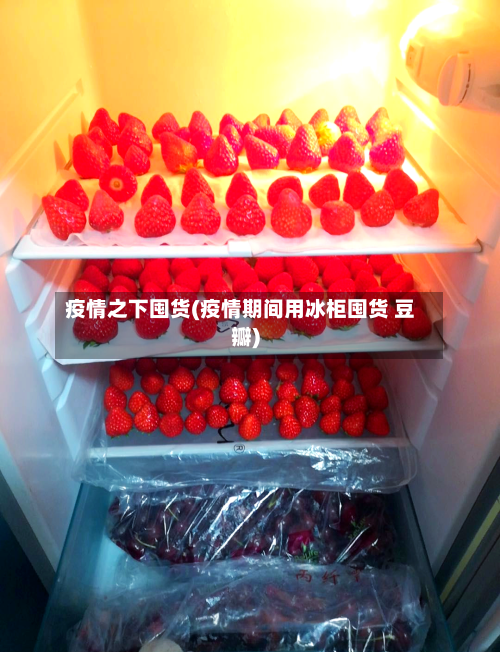 疫情之下囤货(疫情期间用冰柜囤货 豆瓣)-第3张图片