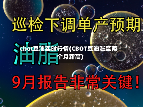 cbot豆油实时行情(CBOT豆油涨至两个月新高)