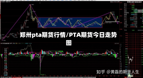 郑卅pta期货行情/PTA期货今日走势图