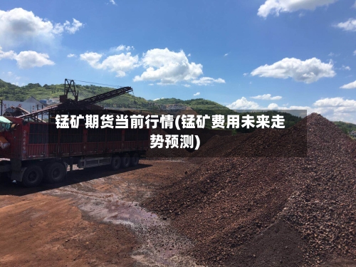 锰矿期货当前行情(锰矿费用未来走势预测)