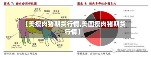 【美瘦肉猪期货行情,美国瘦肉猪期货行情】
