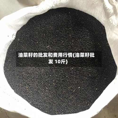 油菜籽的批发和费用行情(油菜籽批发 10斤)-第2张图片